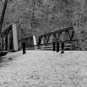 Rustic Wood Bridge Black and White Wall Print Wall Art