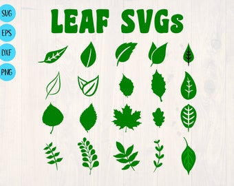 Leaf SVGs Paper leaves download for crafting and clipart eco pack