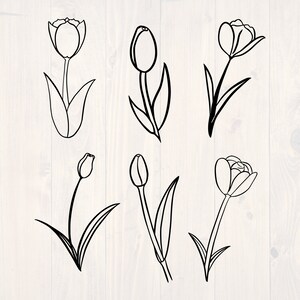 Tulipán SVG 6 paquete hermosas flores dibujadas a mano