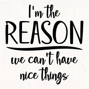 May include: Black and white text graphic that reads "I'm the reason we can't have nice things."