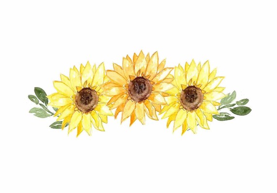 Download 644 Sunflower Vine Svg Cut File Mega Bundle 341Mb