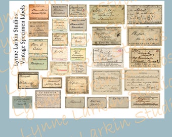 Specimen Labels INSTANT DOWNLOAD digital paper Vintage labels Junk Journal, Collage
