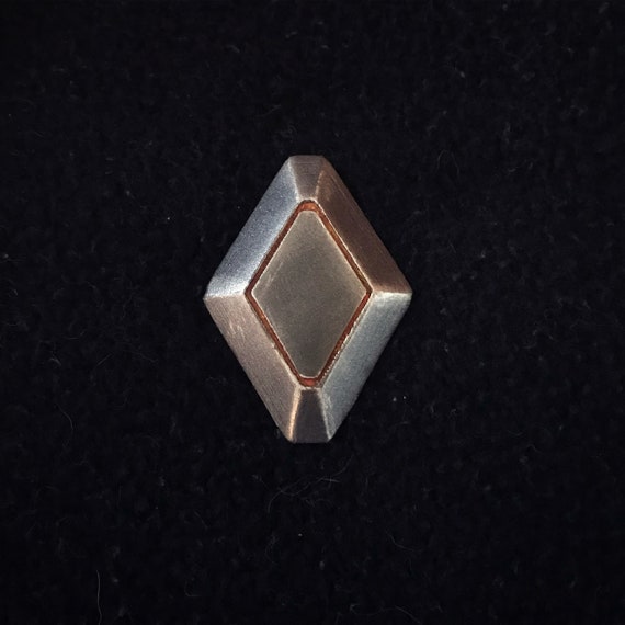 ark survival evolved merch