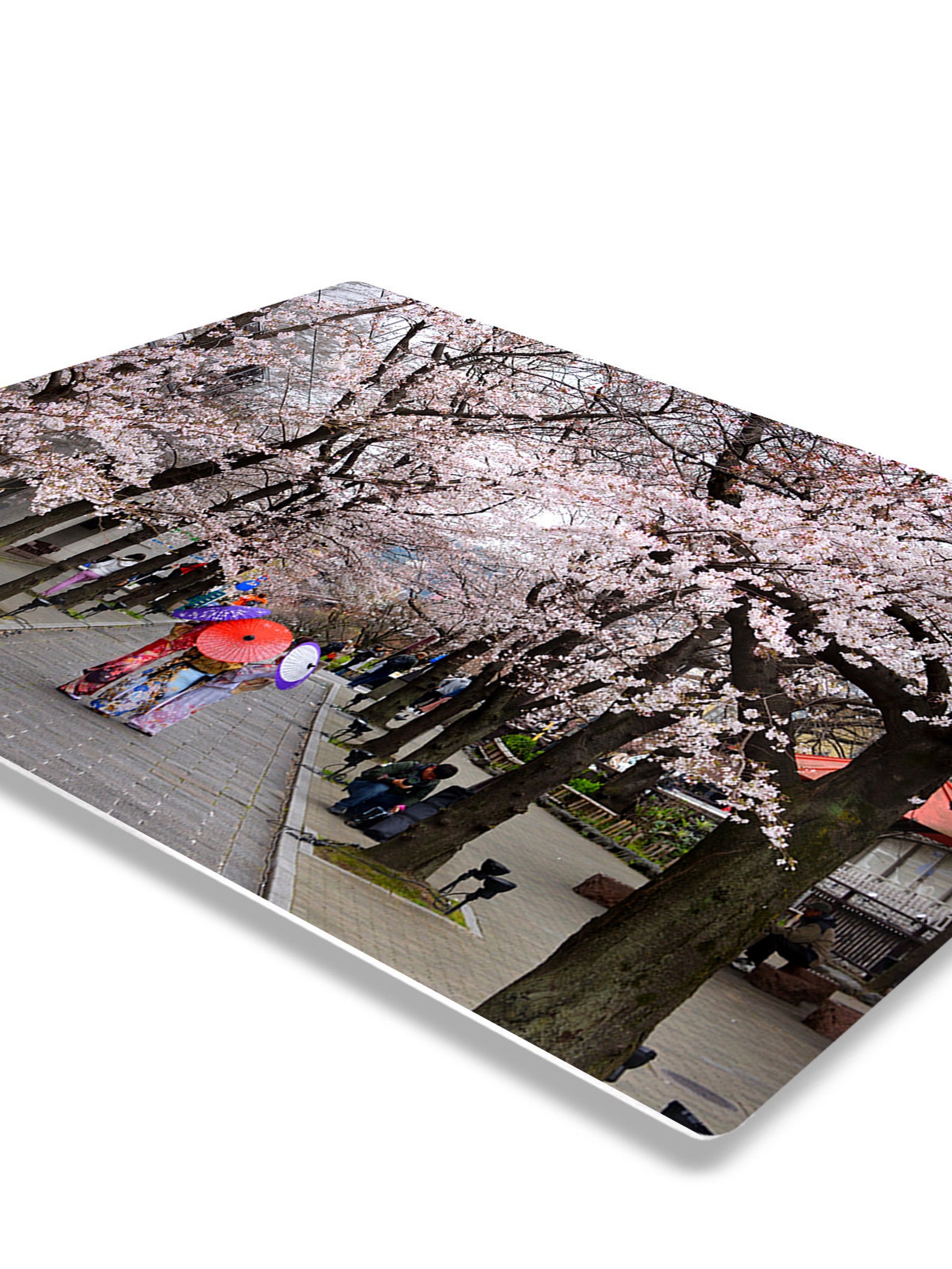 Japanese Cherry Blossom Metal Print Wall Art Allée Home Decor Etsy