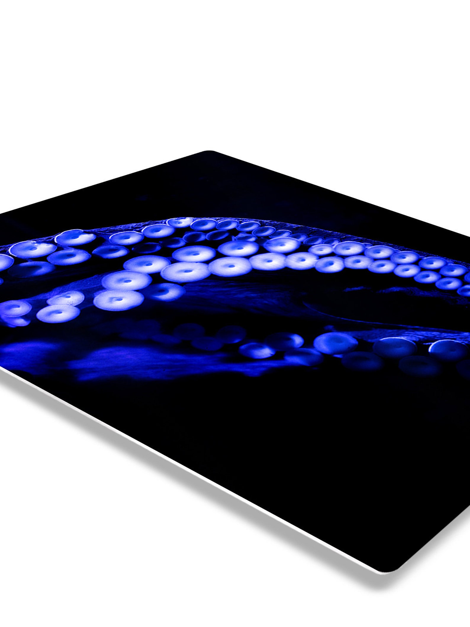 Sea Animals Metal Wall Art Octopus Marine Home Decor Prints Etsy