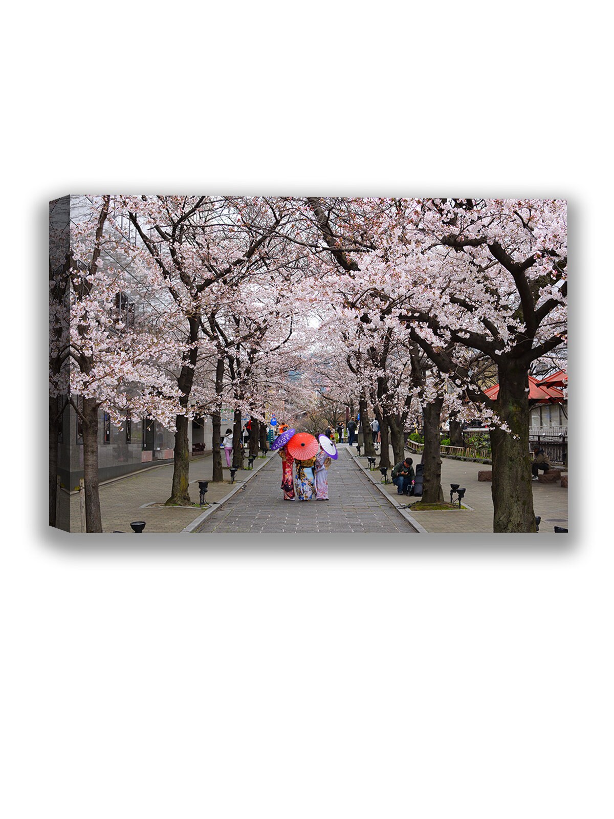 Japanese Cherry Blossom Canvas Wall Art Allée Home Decor Etsy