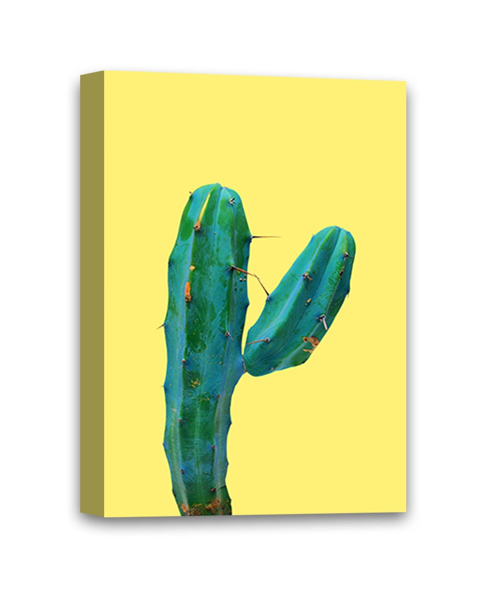 Cactus Canvas Wall Art Plants Home Decor Prints Etsy