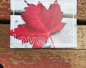 Maine Maple Leaf Love Magnet