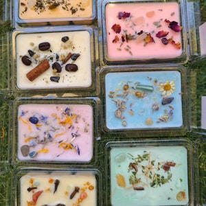 K&ouml;nnte beinhalten: Sortiment von sechs kleinen quadratischen Wachs-Schmelzen in durchsichtigen Plastikbeh&auml;ltern. Die Wachs-Schmelzen sind in verschiedenen Farben, darunter hellorange, rosa, hellblau und gr&uuml;n. Jede Wachs-Schmelze enth&auml;lt verschiedene nat&uuml;rliche Elemente, die in das Wachs eingebettet sind, wie z. B. getrocknete Blumen, Kr&auml;uter und Kristalle.