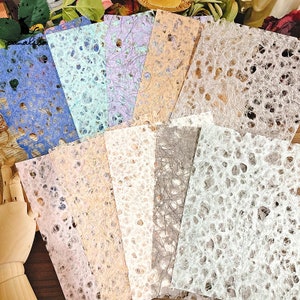 Carta velina con texture di riso arcobaleno Hollow 10 pz.