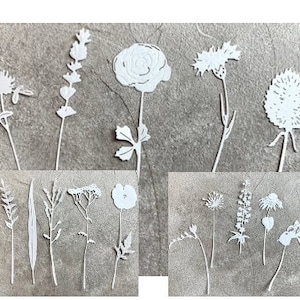 Getrocknete Wildblumen Blätter