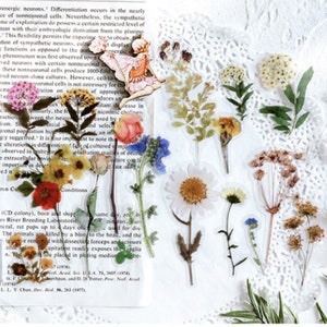 Clear Sticker Pack - Mixed Wild Flowers
