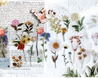 Clear Sticker Pack - Mixed Wild Flowers