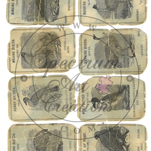 1873 Bird Cards Digital Downloads 5 página