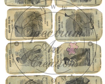 1873 Bird Cards Digital Downloads 5 page