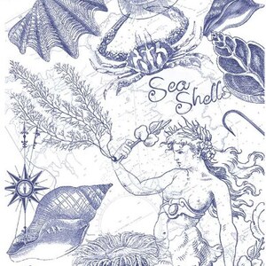 Underwater kingdom sea life marine salt water clear stamp CAS267