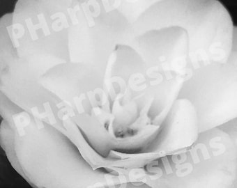 Flower Wall Art