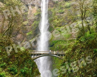 Multnomah Falls Wall Art