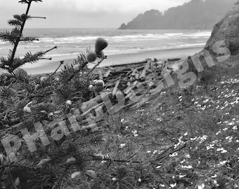 Oregon Coastline Wall Art