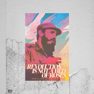 Not A Bed Of Roses - Fidel - 11x17 poster