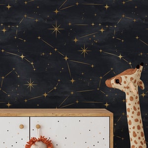 Constellation and Stars Wallpaper | Removable Self Adhesive Night Sky Wallpaper | Kid's Room Decor | Peel and Stick or Pre-Pasted Wallpaper