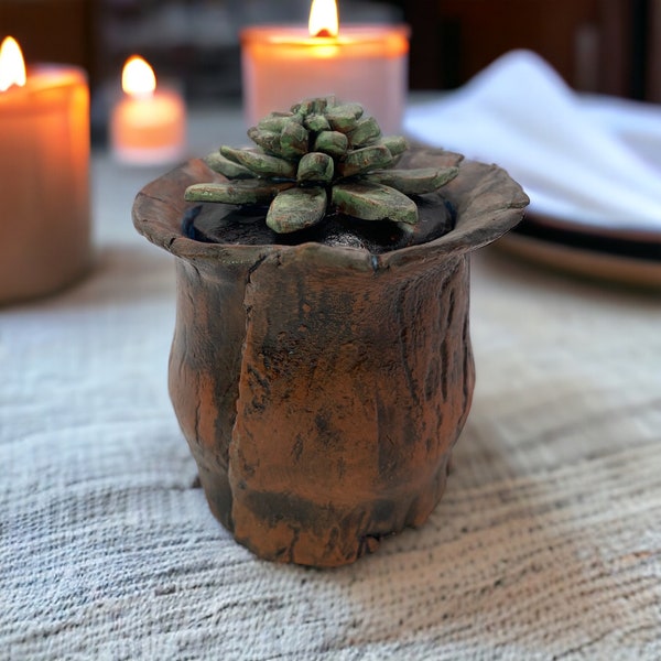 Mini Ceramic Apothecary Jar, Trinket Dish, Succulent, Fairy Magic, Rustic, Lidded Jar
