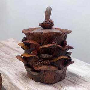 Barattolo da farmacia/zucchero in ceramica con funghi e lumache, magia delle fate, rustico, barattolo con coperchio n. 2