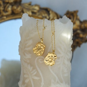 Schorpioen II sterrenbeeld ketting / sterrenbeeld ketting / dubbelzijdige hangers / sterrenbeeld sieraden / tarotkaart geïnspireerd / astrologie sieraden
