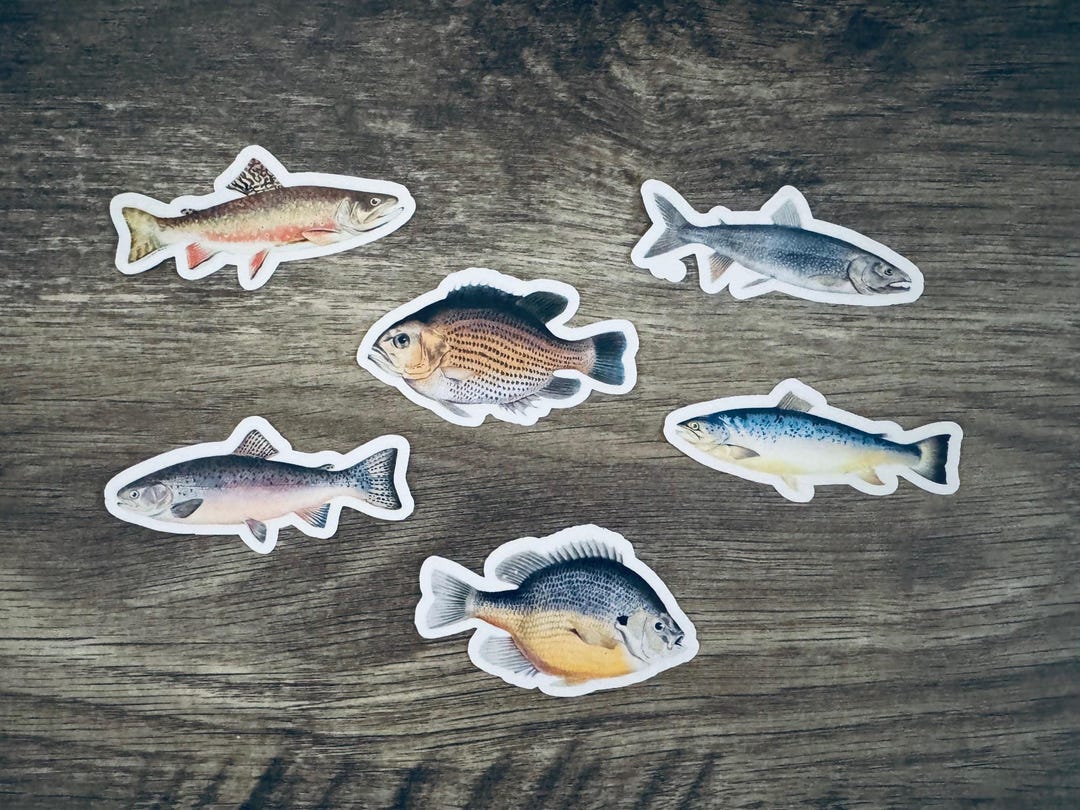 Fish Stickers Pack of 6 | Fishing Sticker Set | Waterproof Die Cut ...