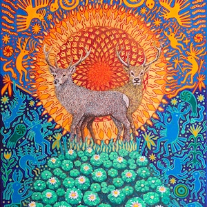 Entheogenic Plants - Etsy