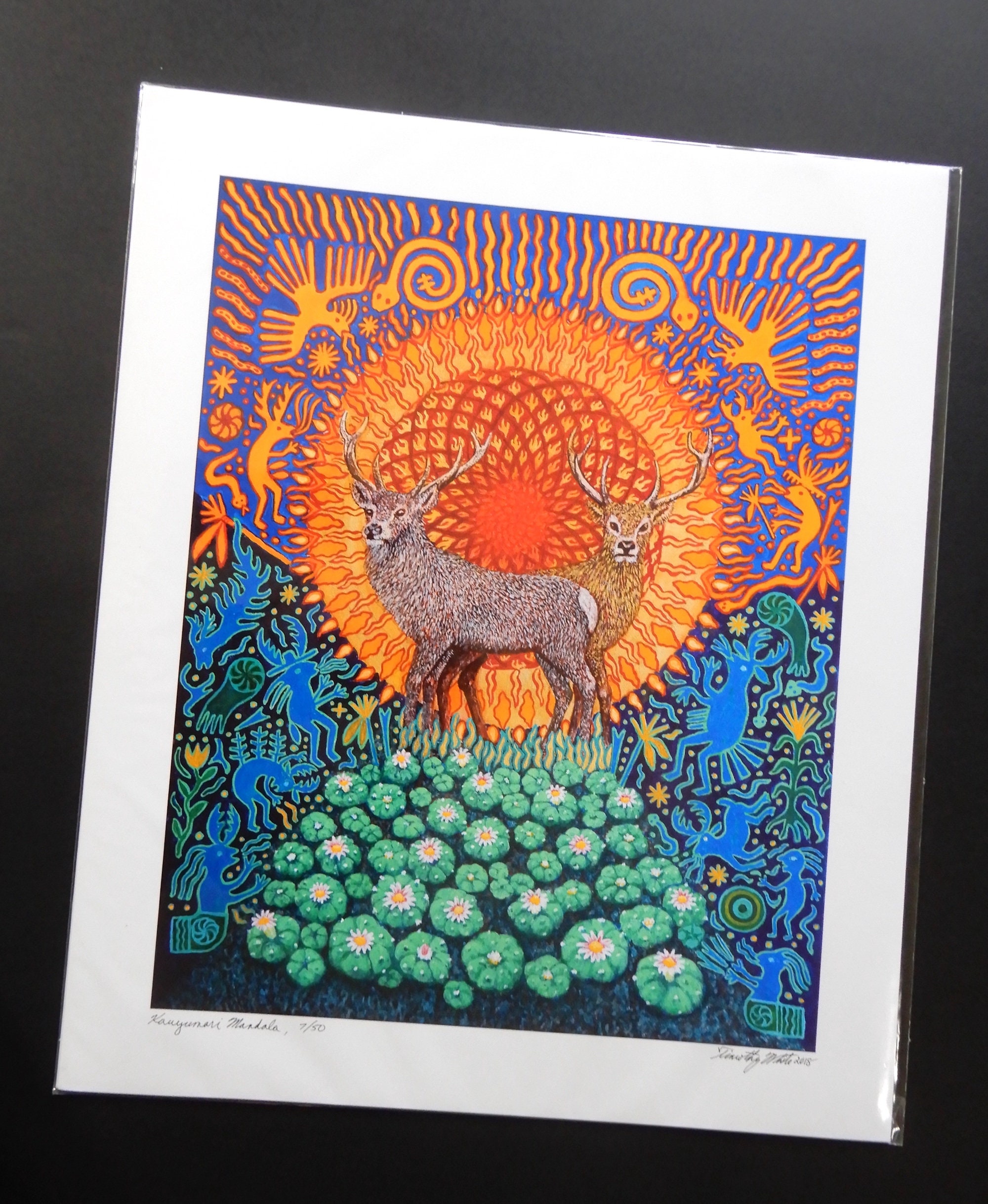 Amazon.com: Ku.ju.ku a Kite -Yasuomi Umetsu ART Works Japan