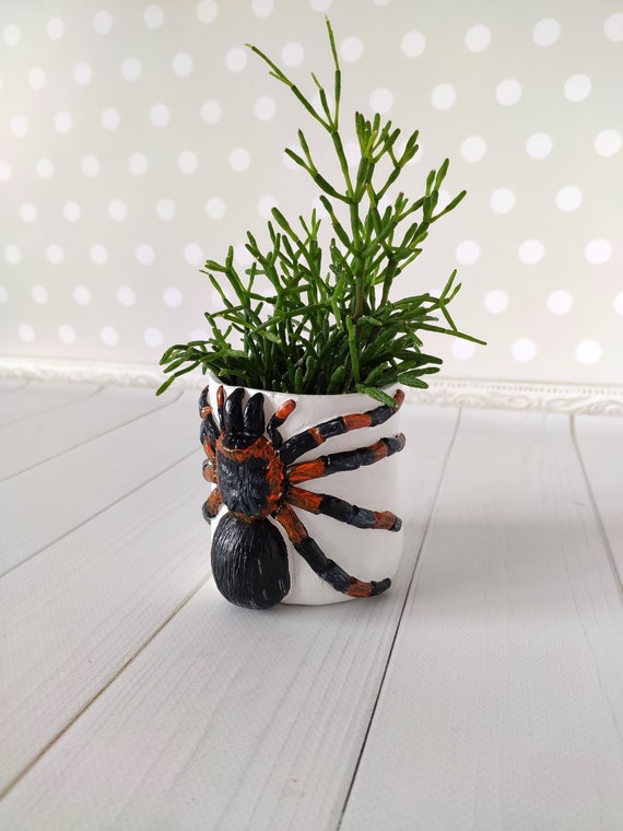 Tarantula spider pot Succulent pots small Idoor plant pot with Etsy