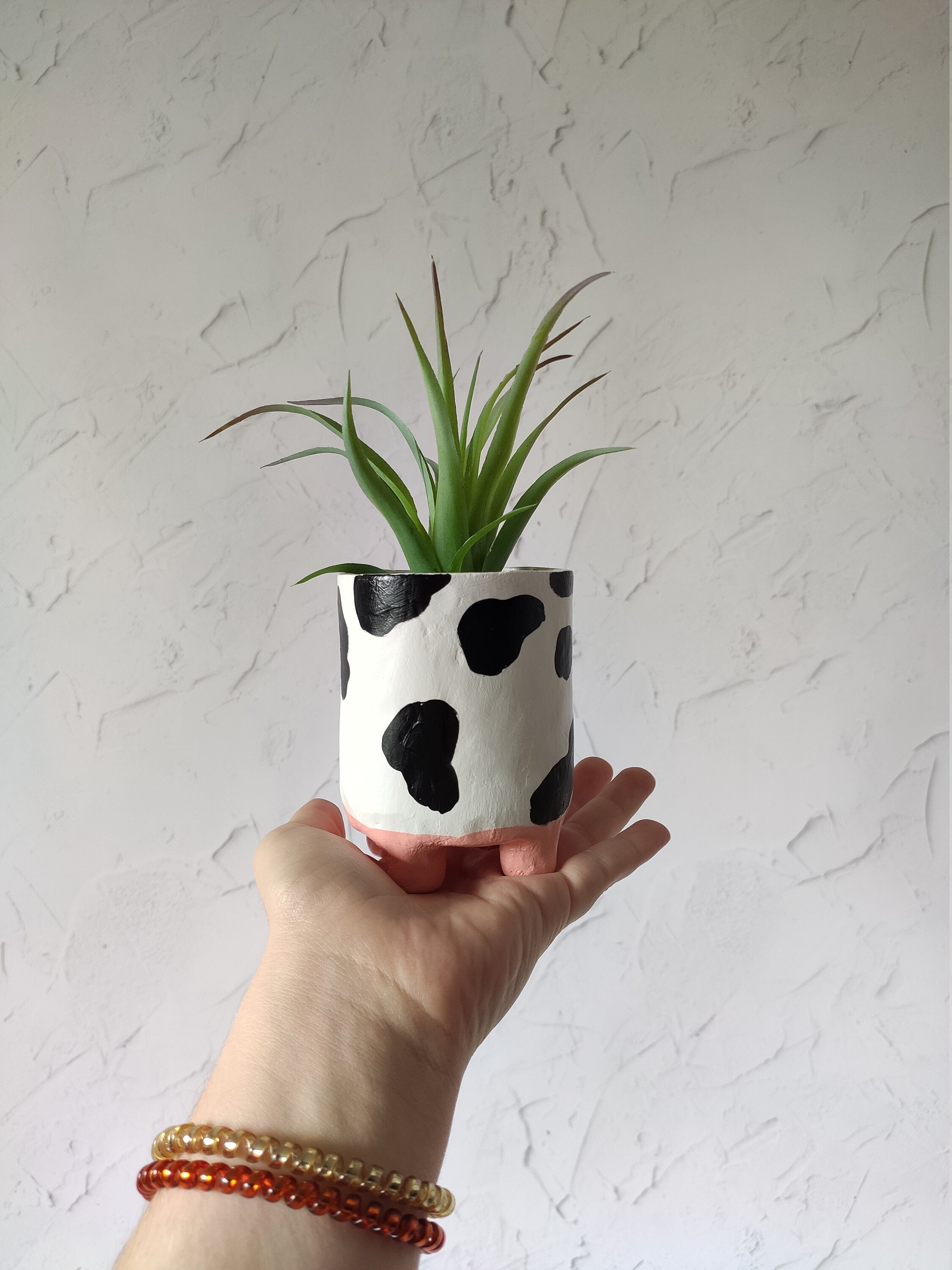 Cow planter with legs for succulents Cow print pot with saucer Etsy