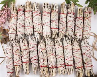 May include: A collection of white sage smudge sticks bundled together with red string. The sticks are arranged in rows on a white background.