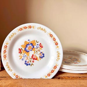 Set van 6 Arcopal opaline dessertbordjes met passiebloem Frans vintage retro
