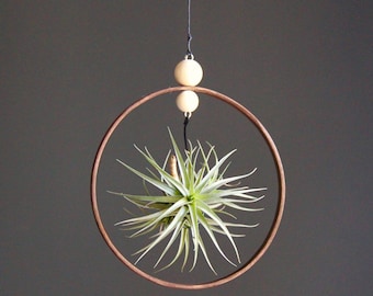 Hanging Air Plant- Modern Hanging Planter- Hanging Wall Planter Indoor- Hanging Flower Pot- Small Hanging Planter- Hanging Succulent Planter