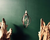 Indoor Plant Hanger with Handmade Wood Hanging Rustic Air Plant Holder, Natural Plant Décor, Succulent Plant Gift, Plant Lover Gift
