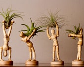 Air Plant Office Desk Decor - Wall Planter Indoor - Indoor Plant Gift - Unique Succulent - Wood Planter - Air Plant Holder - Plant Stand
