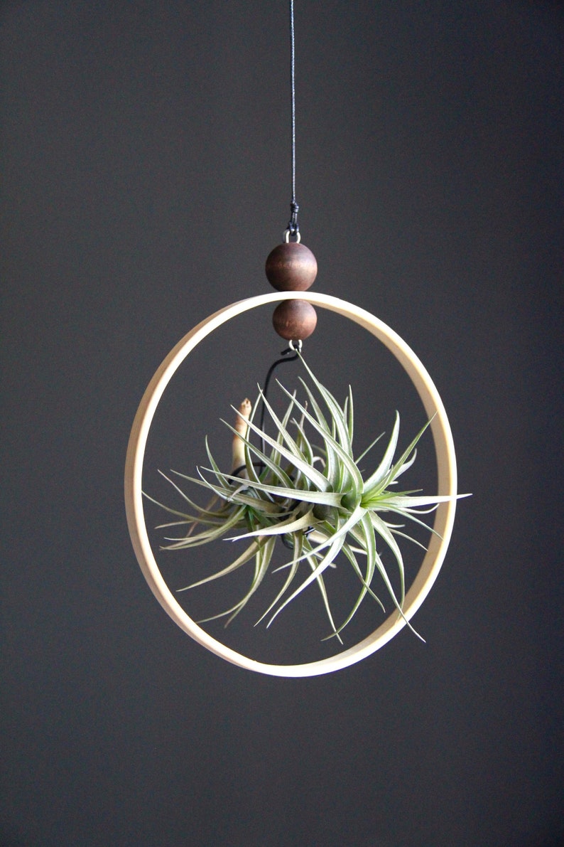 Rustic Air Plant Ring Hanging Tillandsia Art Deco Wall Planter Indoor Air Plant Holder Airplant Hanging Wood Planter Hanger Terrarium
