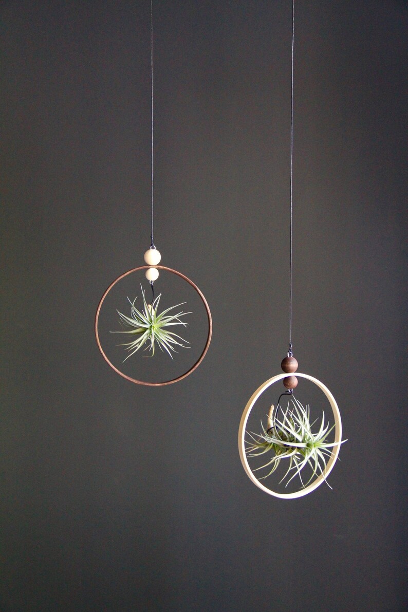 Modern Hanging Planter Hanging Planter Hanging Plant Pot Hanging Wall Planter Indoor Hanging Pots Hanging Air Plant Small Plant Hanger Gardening Plants Floral Garden Crafts Vadel Com