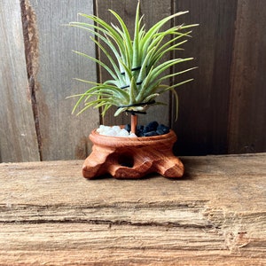 Wood Plant Holder Unique Planter Air Plant Gift Small Planters Plant Stand Wooden Plant Pot Plant Gifts For Men Gifts For Her image 2