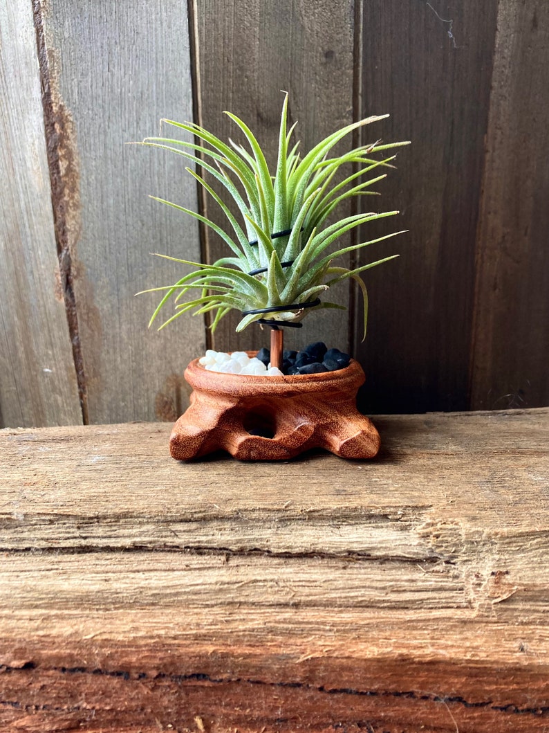 Wood Plant Holder Unique Planter Air Plant Gift Small Planters Plant Stand Wooden Plant Pot Plant Gifts For Men Gifts For Her image 2