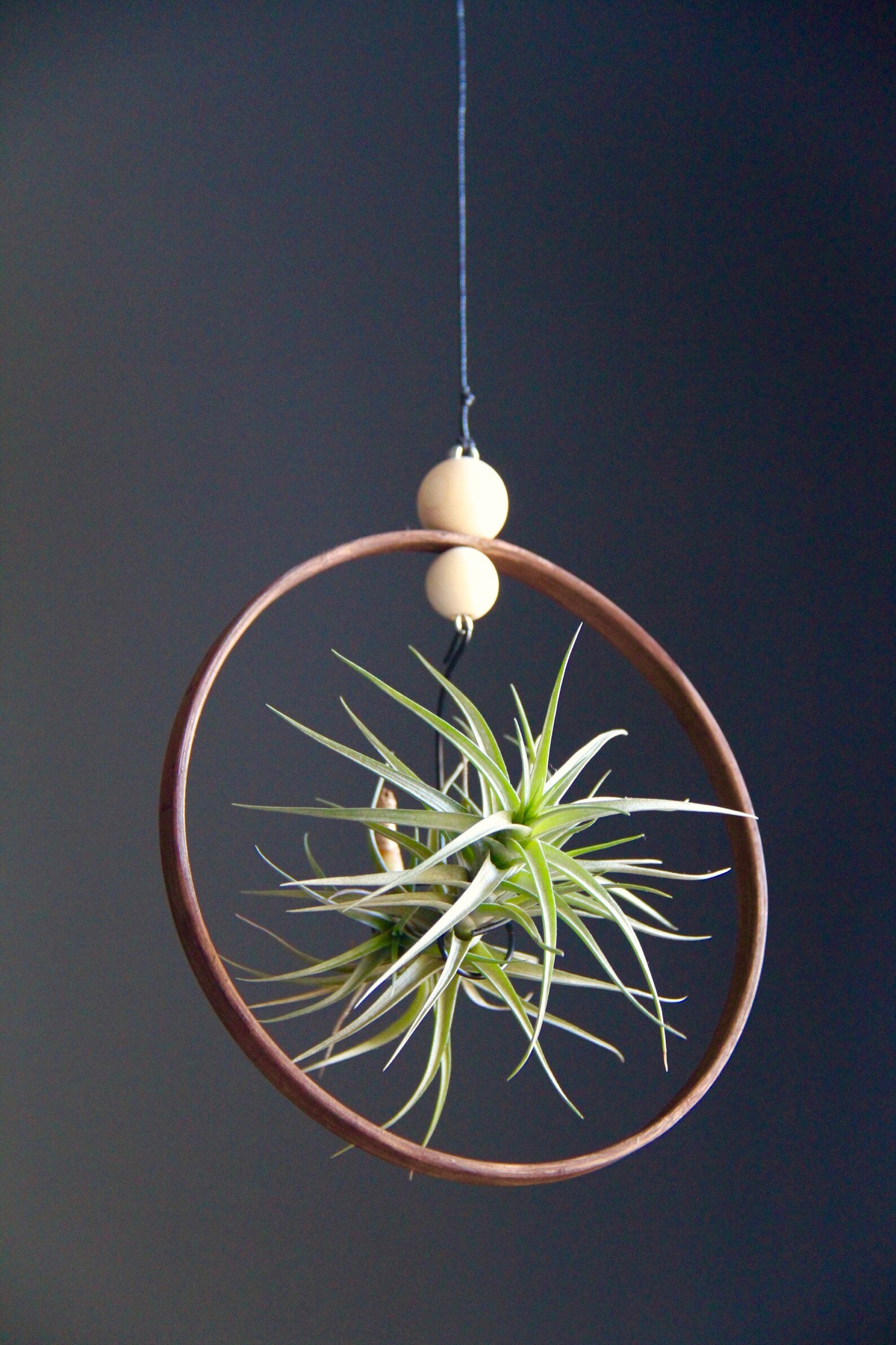 Hanging Rustic Air Plant Holder With Handmade Wood Indoor Plant Hanger