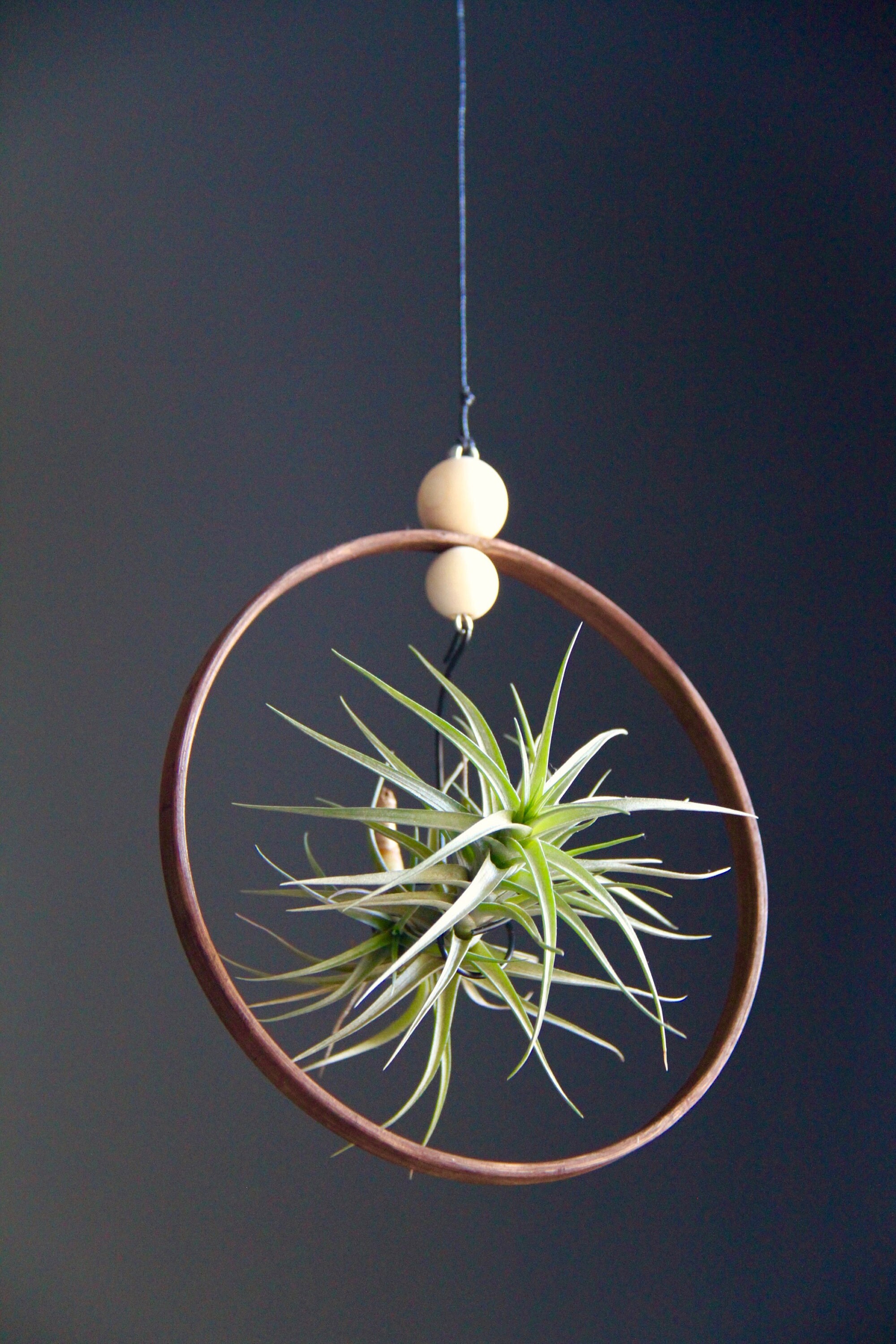 Hanging Rustic Air Plant Holder with Handmade Wood Indoor Etsy