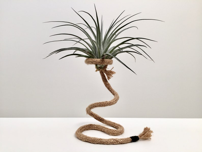 Air Plant Holder Indoor Planter Pot Handmade Planter Etsy