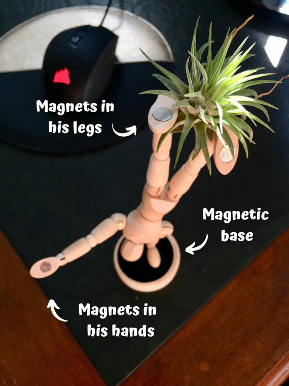 [Image: il_570xN.2344787395_c6g5.jpg]