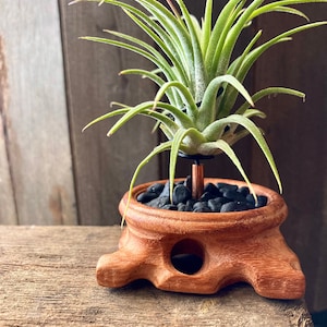 Wood Plant Holder Unique Planter Air Plant Gift Small Planters Plant Stand Wooden Plant Pot Plant Gifts For Men Gifts For Her Black Pebbles