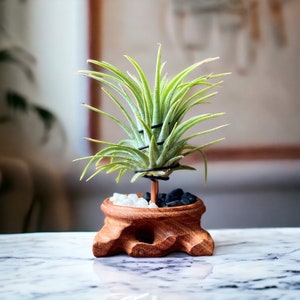 Wood Plant Holder Unique Planter Air Plant Gift Small Planters Plant Stand Wooden Plant Pot Plant Gifts For Men Gifts For Her image 6