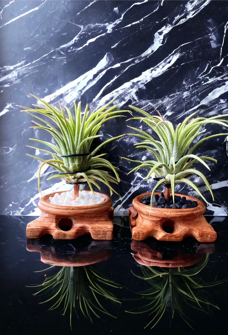 Wood Plant Holder Unique Planter Air Plant Gift Small Planters Plant Stand Wooden Plant Pot Plant Gifts For Men Gifts For Her White Pebbles