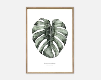 Kunstdruk | Stedelijke Monstera | Poster plantenfoto's plantenfoto's muurfoto's planten aquarelfoto handgeschilderde bloemenfoto's